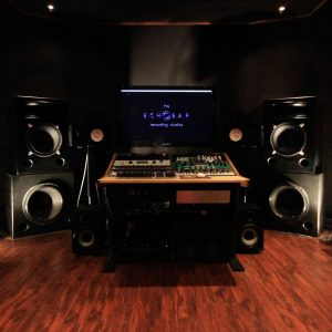 Augspurger Solo 15-Sub218 SXE3/3500 Main Monitor System PAIR