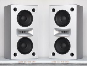 Augspurger Duo 15 Passive Main Monitors PAIR